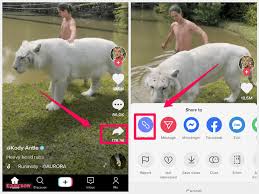 Commerce department is moving to ban downloads of tiktok and wechat within the. Savetik Download Video Tiktok No Watermark Tiktok Downloader
