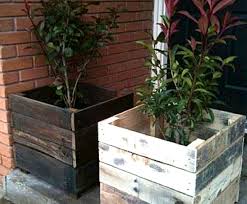 Maybe you would like to learn more about one of these? 8 Creative Up Cycled Pallet Ideas For The Garden Container Water Gardens
