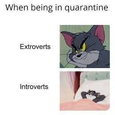 Pin On Introvert Quotes And Memes