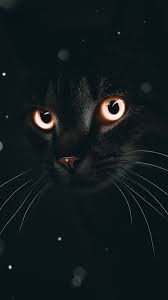 Hd & 4k quality wallpapers, free for download. Black Wallpaper 4k Hd Android Gambar Ngetrend Dan Viral