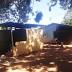 NT Government commits $2b for Indigenous housing over 10 years