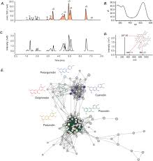 Passions season 3 episode 151 zombie charity causes a stir when she dances sexily with her cousin, john. Assessing Extraction Methods And Diversity Of Anthocyanins From Purple Fleshed Sweet Potatoes Grown In Cooler Climates Biorxiv