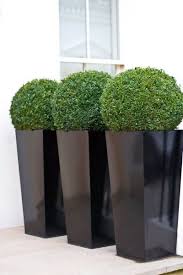Epingle Sur Plantes