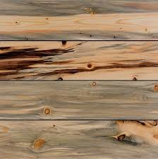5 out of 5 stars. Beetle Kill Blue Stain Pine T G Shiplap Ceiling Wall Plank Boards
