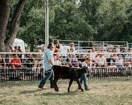 Cass County Fair