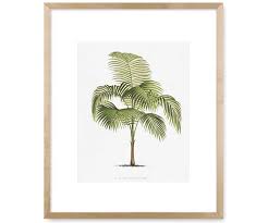 We did not find results for: Les Palmiers I Palm Tree Wall Art Print