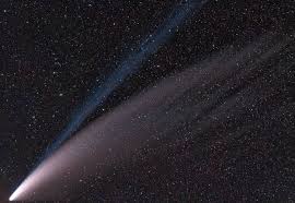 Particular attention should be noted to the time and. Comet Neowise Wikipedia