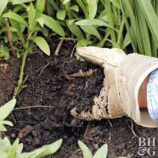I'm usually all about the diy approach. How To Test Your Soil Better Homes Gardens