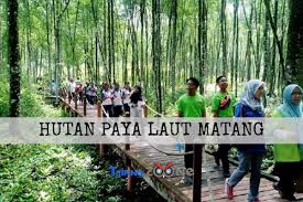 Pengetahuan sangat terhad mengenai kesan penggunaan tanah pada komuniti mikrobial tanah dan keupayaan fungsinya. Taiping Zone Hutan Paya Bakau Yang Terbesar Di Malaysia Matang Mangrove Forest Reserve Ini Berkeluasan Lebih Daripada 40 000 Hektar Walaupun Teramatlah Luas Kawasan Paya Bakau Ini Ia Juga Sebenarnya Merupakan Antara