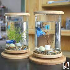 1pcs accessories aquarium bamboo bowl decoration fish rotate 1pcs bamboo rotate decoration fish bowl aquarium acc akvaryum susleri beta baligi akvaryum
