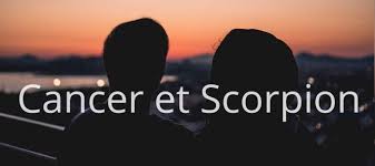 We did not find results for: Homme Cancer Et Femme Scorpion Compatibilite Des Signes