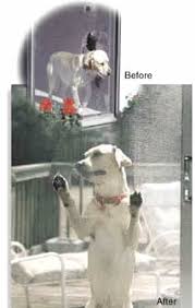 Check spelling or type a new query. Pet Proof Screen Buy Dog Cat Proof Screens For Windows And Doors Metro Screenworks
