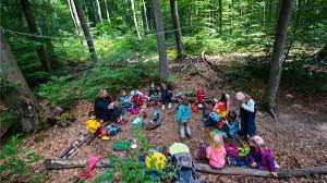 Dietiker Schule - Pilotprojekt: Ein Kindergarten Wird In Den Wald Verlegt
