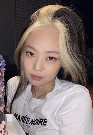 Jennie Filha De Atena In 2020 Hair Inspo Color Hair Color Streaks Dye My Hair