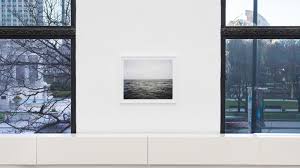 Weeds, salt piles and other overlooked wonders: Photographer Jin Lee sees  it all