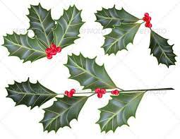 Holly Leaves And Berries Holly Plant Plant Tattoo Holly Leaf