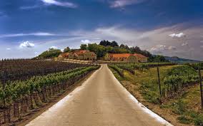 Co navštívit a vidět na jižní moravě? Uzasna Morava Turisticky Portal