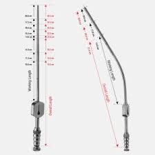 Image result for Trachypogon chevalieri