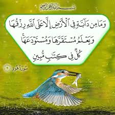 Pin By Mohamed Amin On Quran Verses Quran Verses Islamic Calligraphy Painting Quran Arabic