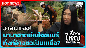 pptvhd36.com - News update
