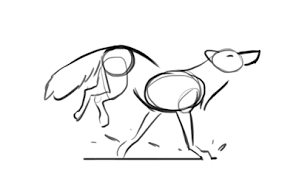 Wolf Running Cycle Tumblr Animated Drawings Art Sketches Animation Art