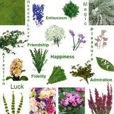 Behind every bouquet of flowers is a benchmark bouquets farmer, their story, and their life's work. 26 Filler Flowers And Types Of Greenery Flower Meanings Flower Therapy Fifty Flowers