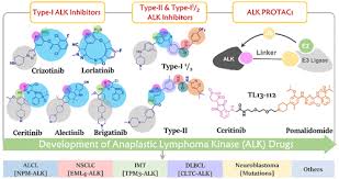 Image result for ALK Inhibitor