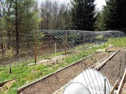 We get asked all the time about our arched trellises. How To Use And Build Bean Arches Mother Earth News