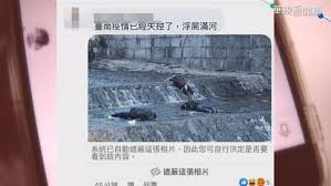 國中體育老師要擁英語資格證 北市議員怒控圖利特定人士 台北市議員許 … 閱讀全文… 國中體育老師要擁英語資格證 北市議員怒控. å°ç£ç–«æƒ…å¤±æŽ§ ç¶²è·¯å‡è¨Šæ¯ç˜‹å‚³ è¯è¦–æ–°èžç¶²