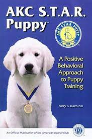 Browse cute pups for sale listed near you. Akc Star Puppy A Positive Behavioral Approach To Puppy Training Kindle Edition By Burch Mary Crafts Hobbies Home Kindle Ebooks Amazon Com