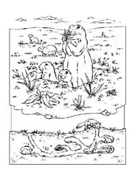 Coloring Book Animals A To I North American Animals Coloring Pages Whale Coloring Pages