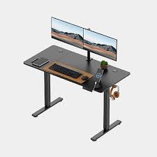 Large Standing Desk 71x31