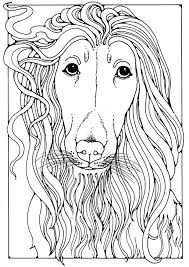 Free coloring pages of collie face. Coloring Page Afghan Greyhound Free Printable Coloring Pages Img 28201