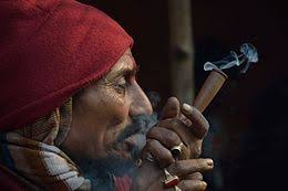 Current research indicates that smoking weed does not make acne worse in most people. Cannabis Drug Wikipedia