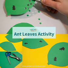 These kindergarten activities are the best at letting kids interact, play, move, and work with important learning. Bugs And Insects Preschool Theme