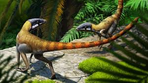 Image result for Thesium singulare