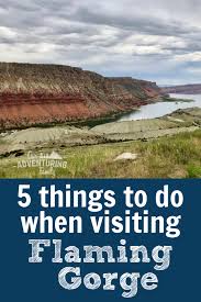 Check spelling or type a new query. 5 Things To Do At Flaming Gorge National Recreation Area Our Adventuring Family