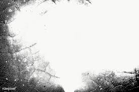 Black And White Sky Png Black And White Leaf Textured Frame Design Element Free Image By Rawpixel Com Marinemynt In 2020 Backdrops Backgrounds Black And White Leaves Leaf Texture