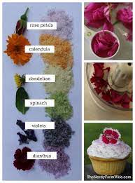 Naturally Colored Decorating Sugar Using Edible Flowers Edible Flowers Recipes Edible Flowers Flower Food