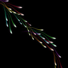 Create Beautiful Abstract Coloured Falling Lines In Photoshop Psd Vault Photoshop Photoshop Tuts Abstract