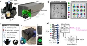 Deep Learning Enabled Point Of Care Sensing Using Multiplexed Paper Based Sensors Npj Digital Medicine