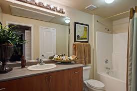 When it comes to bathroom sinks, you have many choices. Volaris West Kernan Prime Rental