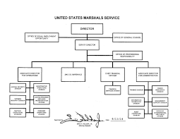 10 True United States Government Structure Diagram