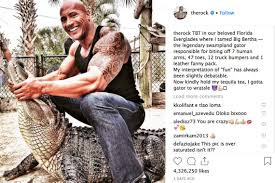 The alligator was the funnest of them all and we would dangle from the swing set as he would waddle by nipping at our toes. Photo Of Dwayne The Rock Johnson Wrestling A Gator Draws Fire The Kansas City Star