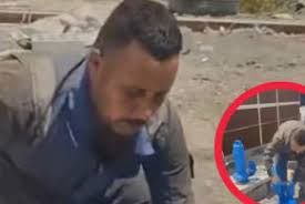 Dogs Articles and latest stories