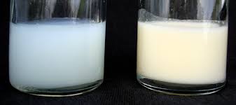 Muttermilch Wikipedia