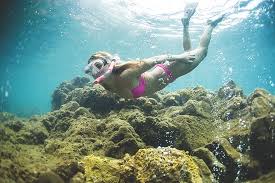 Sie liegt in mitten der kleinen antillen an der breite 15,1 grad nord und länge 61,0 grad west. Champagne Reef Dominica Bild Von Dominica Karibik Tripadvisor