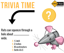Simm on august 01, 2020: It S Trivia Thursday Do You Know The Answer To The Question Below Leave Your Answer In The Comments Safetyfirstpestcontr Trivia Time Trivia Pest Control