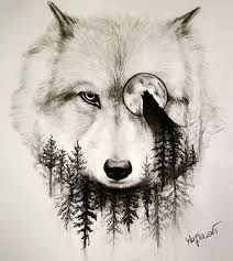 Wolf and moon drawing at getdrawings | free download. Pin By Deyvis Chaves On Wolf Moon Wolf Tattoo Design Cool Wolf Drawings Wolf Sketch