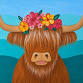Highland Cow, Bao Buns & Wine